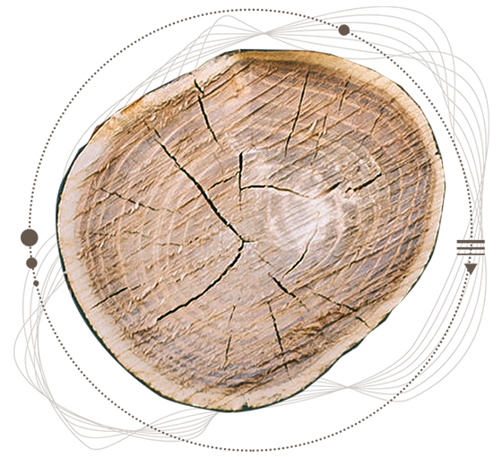爱游戏中国官方网站